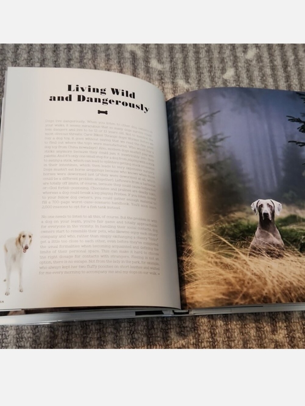 For The Love Of Dogs Book by Katharina von der Leyen - Picture 16 of 17